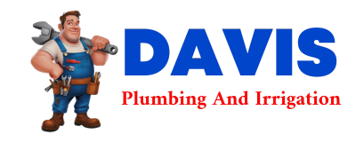 Trusted plumber in ANITA